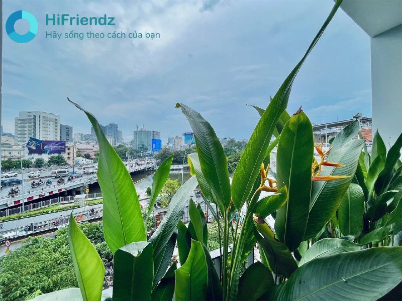 Квартира Бинь Тхань - 7