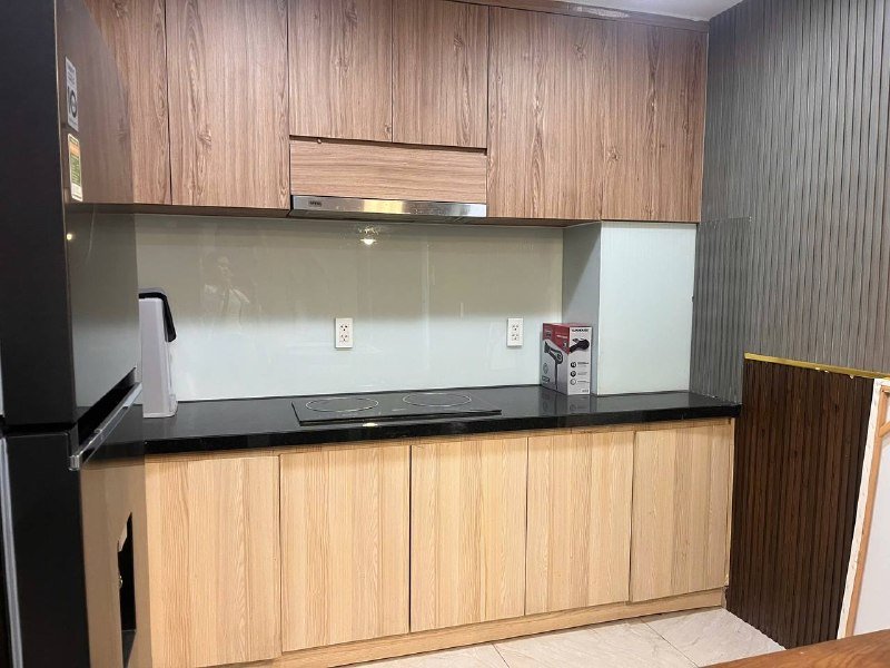 Apartment for rent in District 2 - Thao Dien / An Phu, Ho Chi Minh City - 2