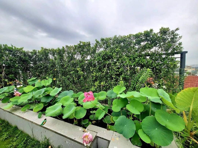 Квартира Район 2 - 8