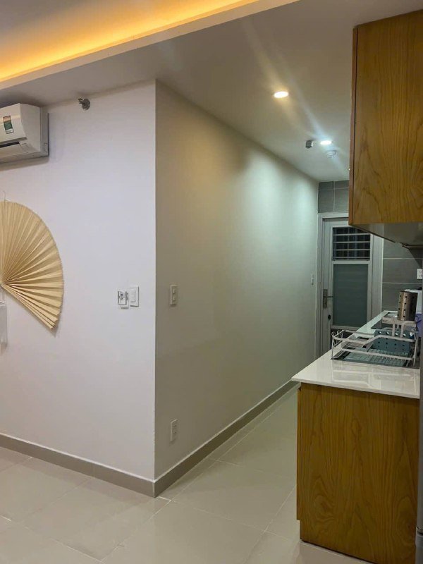 Apartment for rent in District 7, Ho Chi Minh City - 3