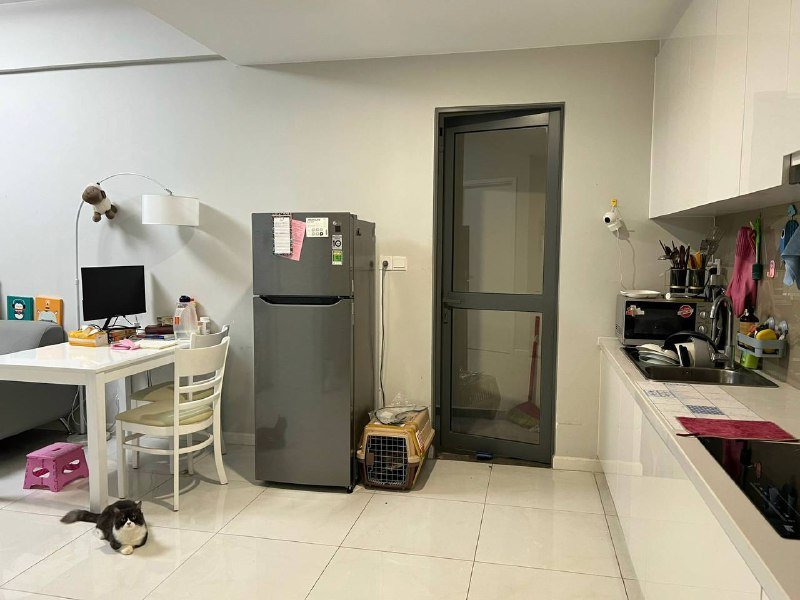 Apartment for rent in District 2 - Thao Dien / An Phu, Ho Chi Minh City - 3