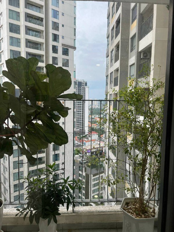 Квартира Район 2 - Тхао Дьен / Ан Фу - 6