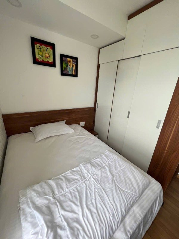 Apartment for rent in District 7, Ho Chi Minh City - 3
