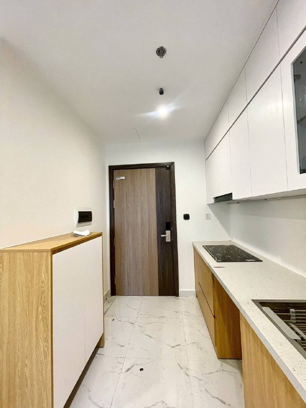 Apartment for rent in Thu Duc - Vinhomes Grand Park, Ho Chi Minh City - 3