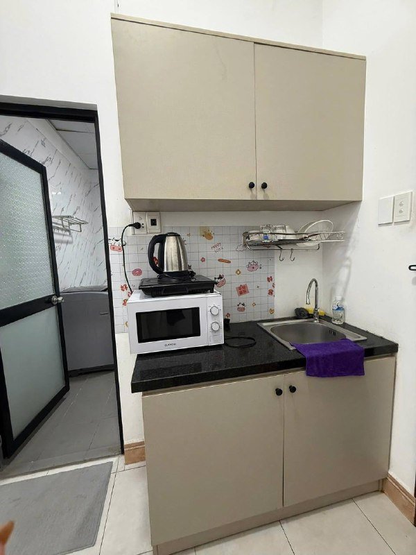 Apartment for rent in District 2 - Thao Dien / An Phu, Ho Chi Minh City - 2