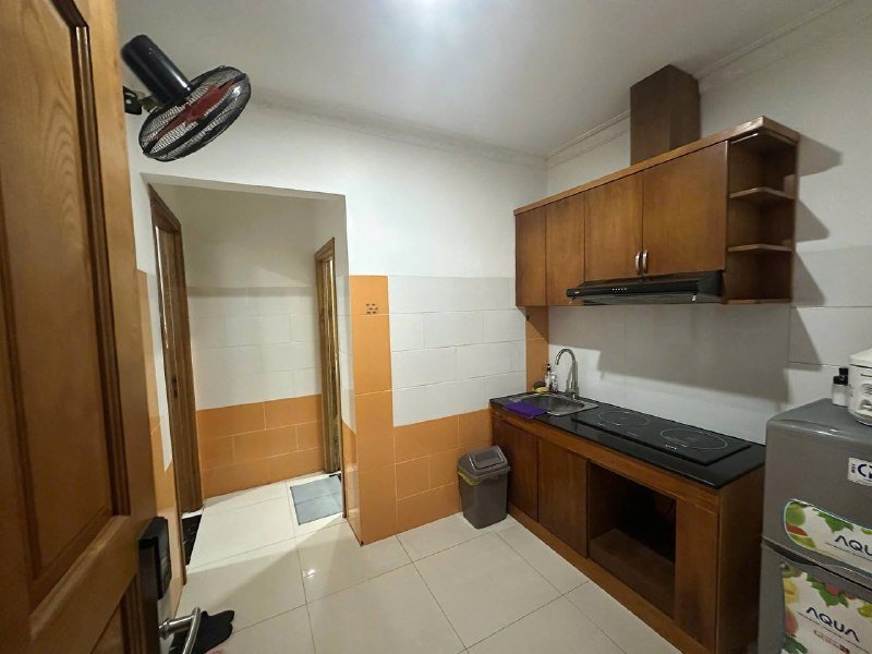 Apartment for rent in District 2 - Thao Dien / An Phu, Ho Chi Minh City - 2