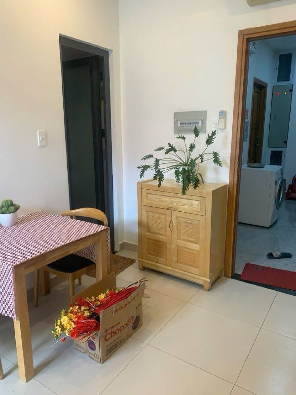 Apartment for rent in District 2 - Thao Dien / An Phu, Ho Chi Minh City - 2