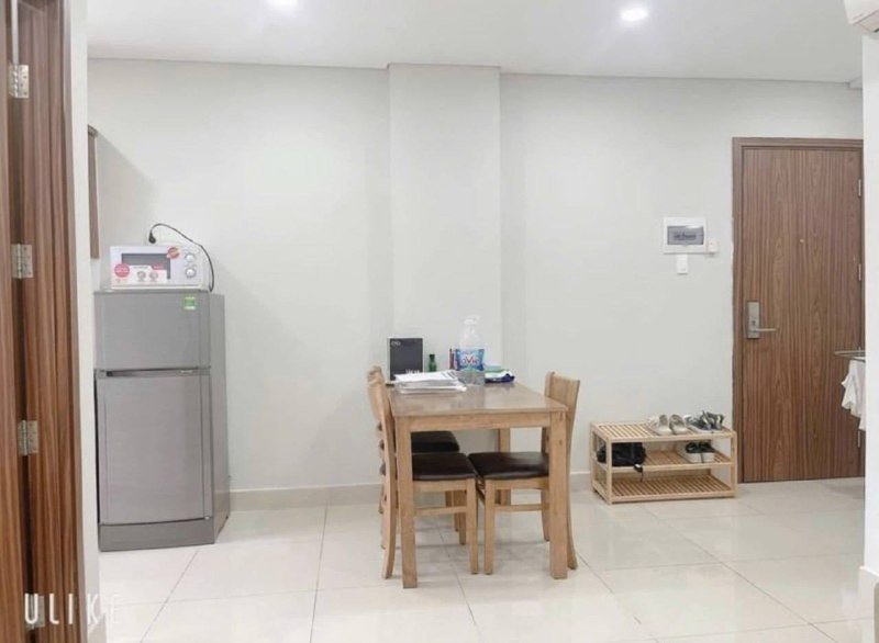 Apartment for rent in District 2 - Thao Dien / An Phu, Ho Chi Minh City - 2