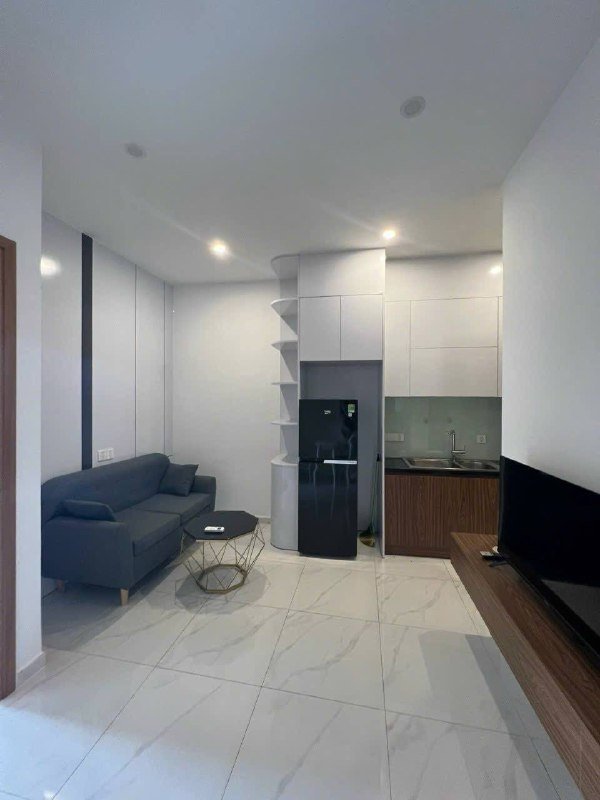 Apartment for rent in District 2 - Thao Dien / An Phu, Ho Chi Minh City - 2