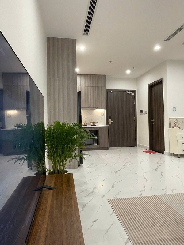 Apartment for rent in Thu Duc - Vinhomes Grand Park, Ho Chi Minh City - 2