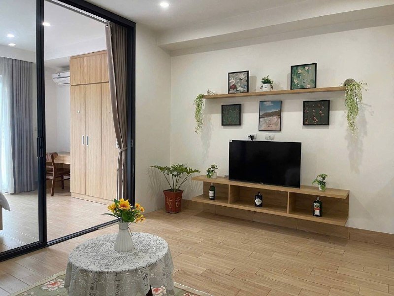Apartment for rent in Binh Thanh, Ho Chi Minh City - 2