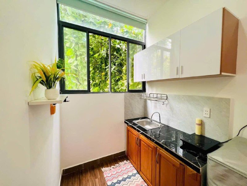 Apartment for rent in Binh Thanh, Ho Chi Minh City - 3
