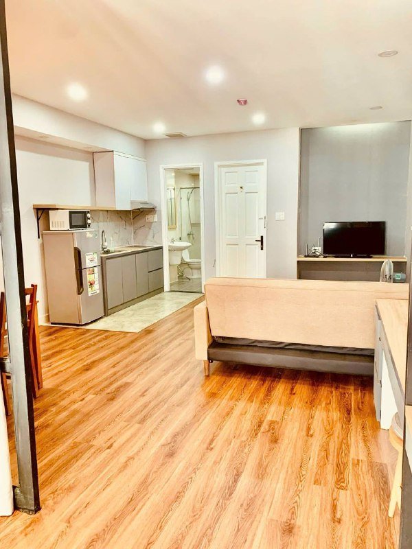 Apartment for rent in District 2 - Thao Dien / An Phu, Ho Chi Minh City - 2