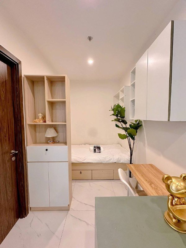 Apartment for rent, Ho Chi Minh City - 2