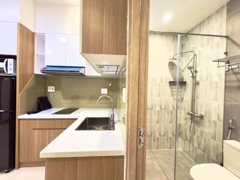Apartment for rent in District 2 - Thao Dien / An Phu, Ho Chi Minh City - 3