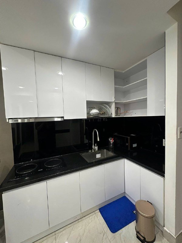 Apartment for rent in District 2 - Thao Dien / An Phu, Ho Chi Minh City - 3