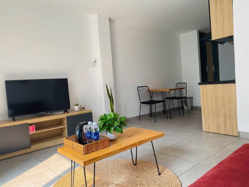 Apartment for rent in District 2 - Thao Dien / An Phu, Ho Chi Minh City - 3