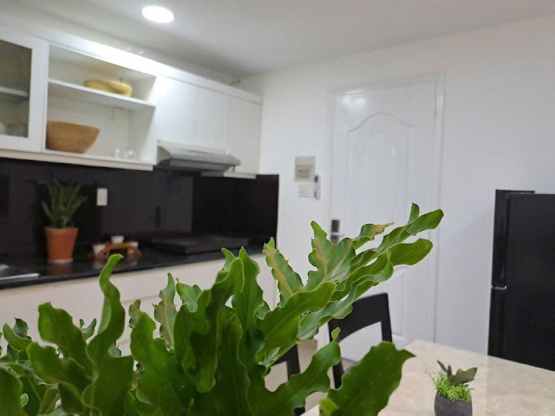 Apartment for rent in District 2, Ho Chi Minh City - 2