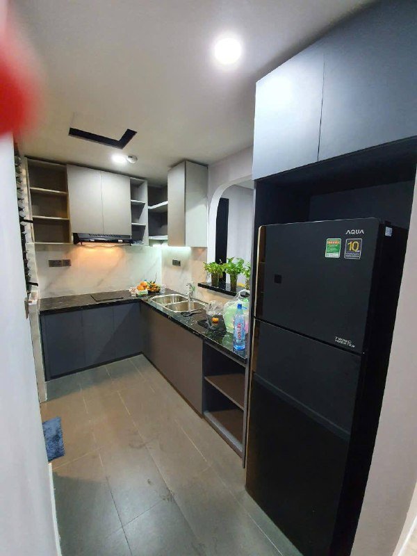 Apartment for rent in District 2 - Thao Dien / An Phu, Ho Chi Minh City - 3