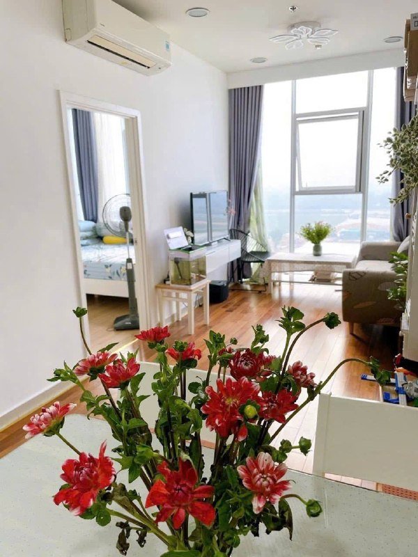 Apartment for rent, Ho Chi Minh City