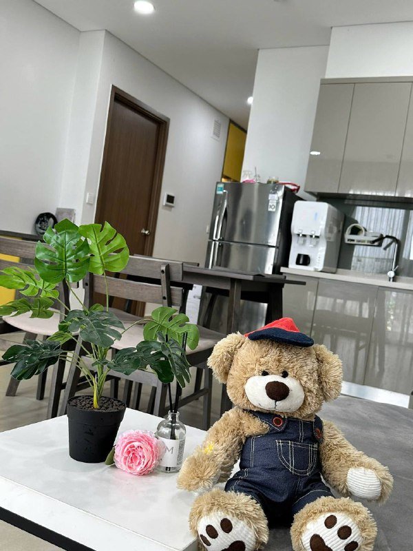 Apartment for rent in District 7, Ho Chi Minh City