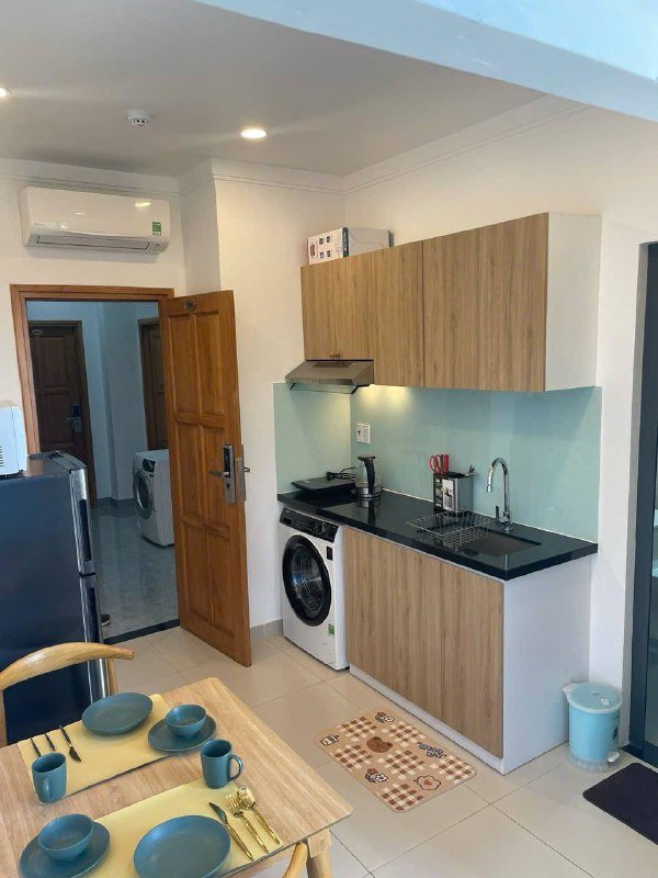 Apartment for rent in District 2 - Thao Dien / An Phu, Ho Chi Minh City - 3