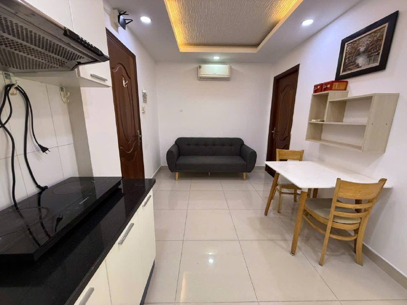 Apartment for rent, Ho Chi Minh City - 2