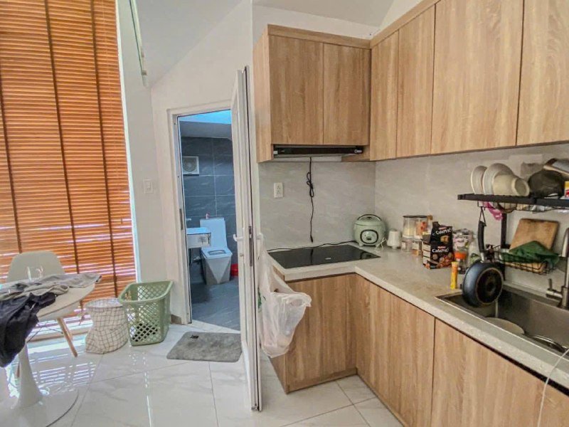 Apartment for rent in District 2 - Thao Dien / An Phu, Ho Chi Minh City - 3